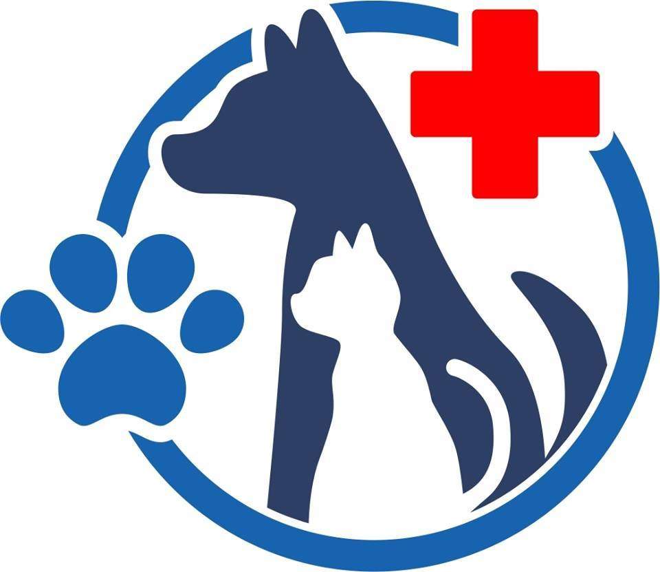 affordable pet vet