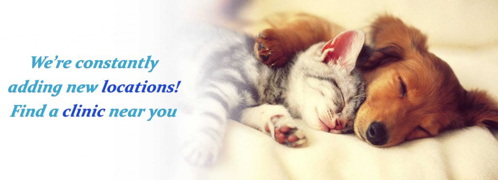 Low Cost Pet Vaccinations Schedule & Locations Dallas-Fort ...