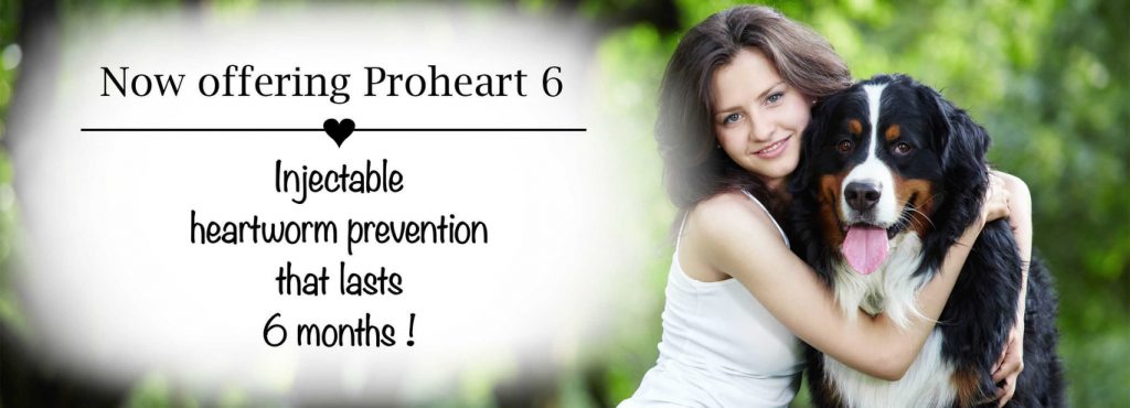 what does proheart treat