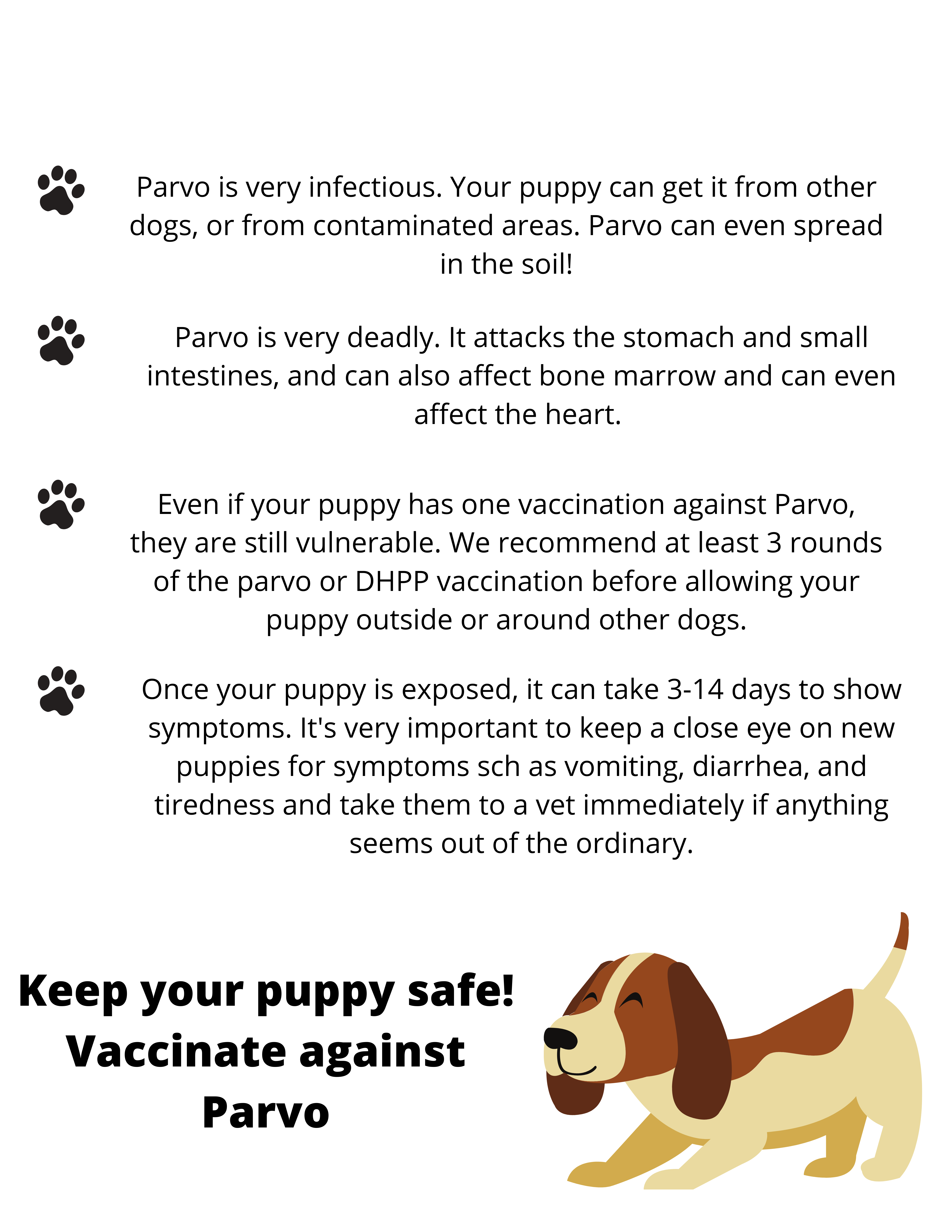 signs that a puppy has parvo