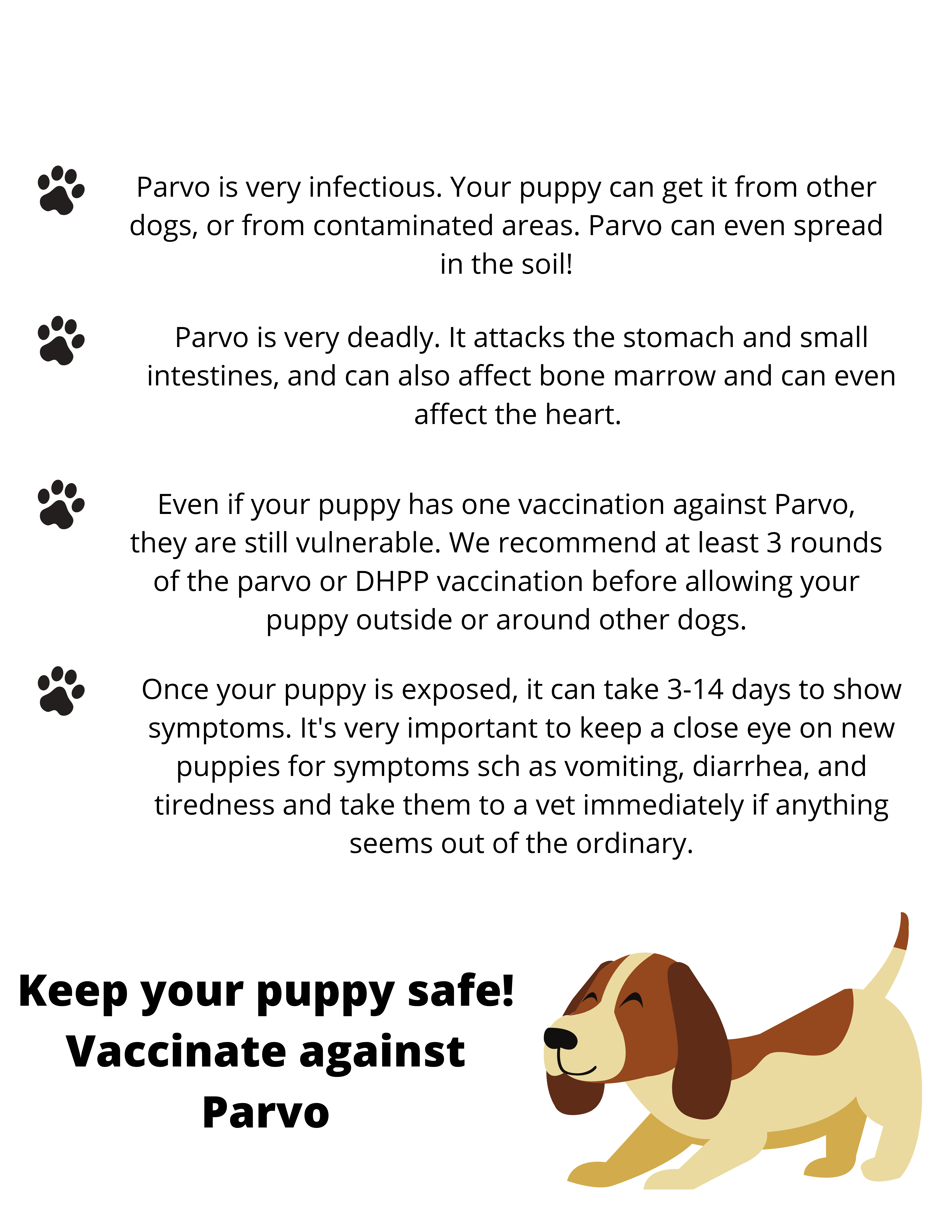 can a puppy have a false positive parvo test